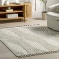 thumbnail image 4 of nuLOOM Briallyn Modern Waves Tassel Area Rug, 4' x 6', Briallyn Beige, 4 of 9
