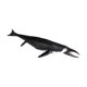 thumbnail image 5 of Figuritas de peces, colección de juguetes de marinas, figuras de animales marinos, modelo de Animal marino para relleno de huevos de Pascua, 5 of 9