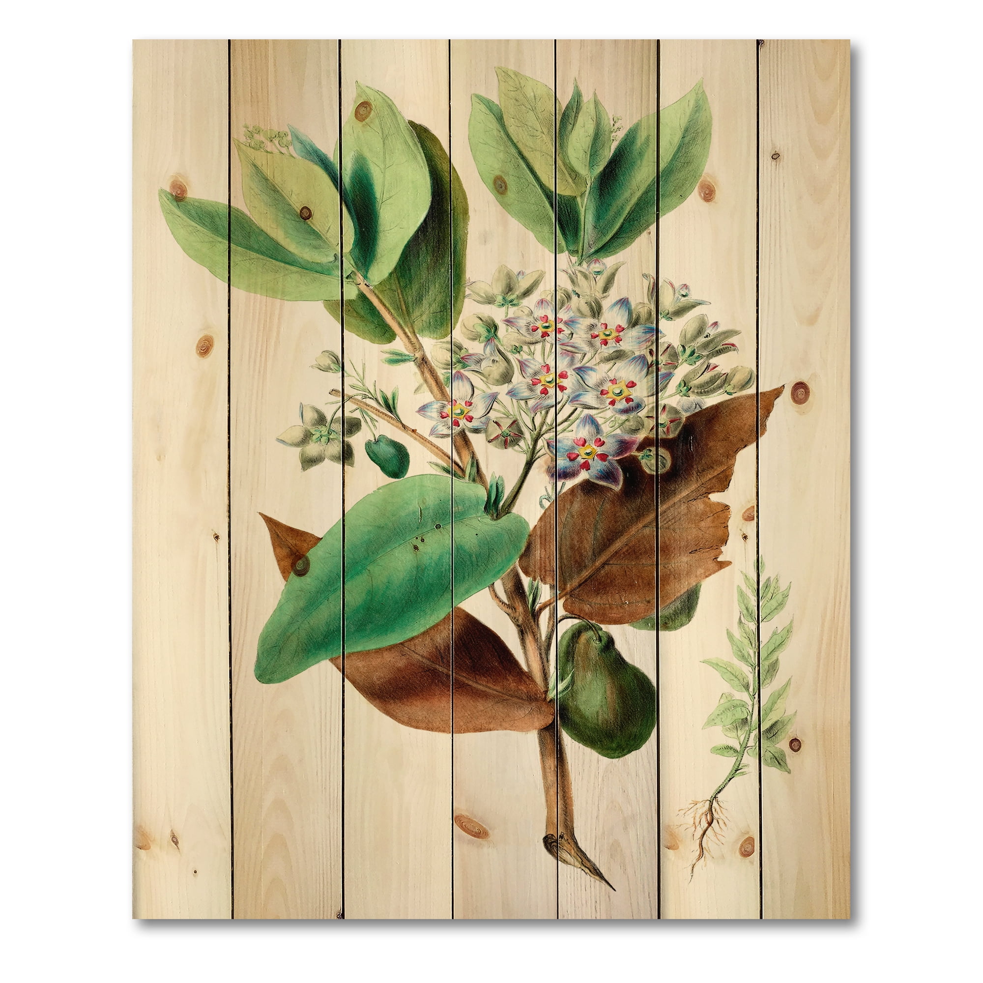 Designart 'Ancient Plant Life XXVIII' Traditional Print on Natural Pine Wood
