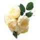 thumbnail image 5 of Flores artificiales para interiores, exteriores, decoración floral, ceremonia de banquete de boda, ramo de flores falsas, champán tholdsy HA6520-04B, 5 of 6