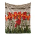 thumbnail image 1 of Rustic Soft Flannel Fleece Throw Blanket, Close Line of Poppy Petals Field Meadow Summer Holiday Sun Plant Floral Theme, Cozy Plush for Indoor and Outdoor Use, 60" x 80", Orange Brown, by Ambesonne, 1 of 6