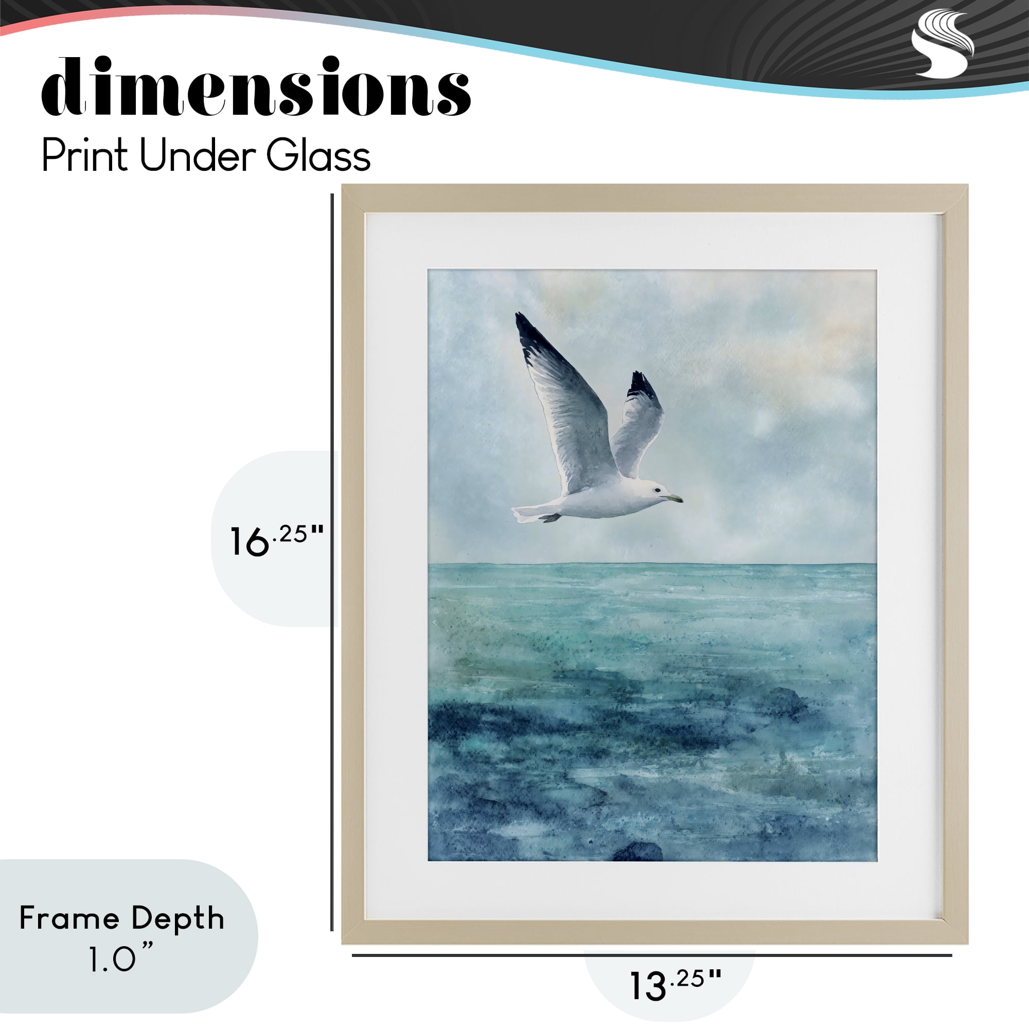 Stupell Industries Seagull With Black Tips Birch Framed Print Under Glass, design by Franklyn Gregory