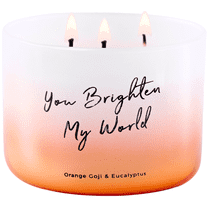 Orange Goji Eucalyptus 3 Wick Candle | Aromatherapy Candle for Focus, You Brighten My World Candle with Message, Soy Scented Candle Large 15.8 Oz Clean Burning Candle Gift for Men and Women