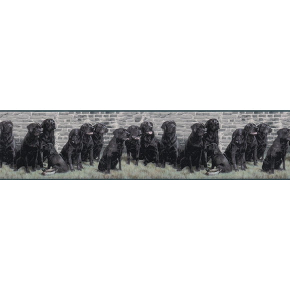 Dogs Wallpaper Border GL102692