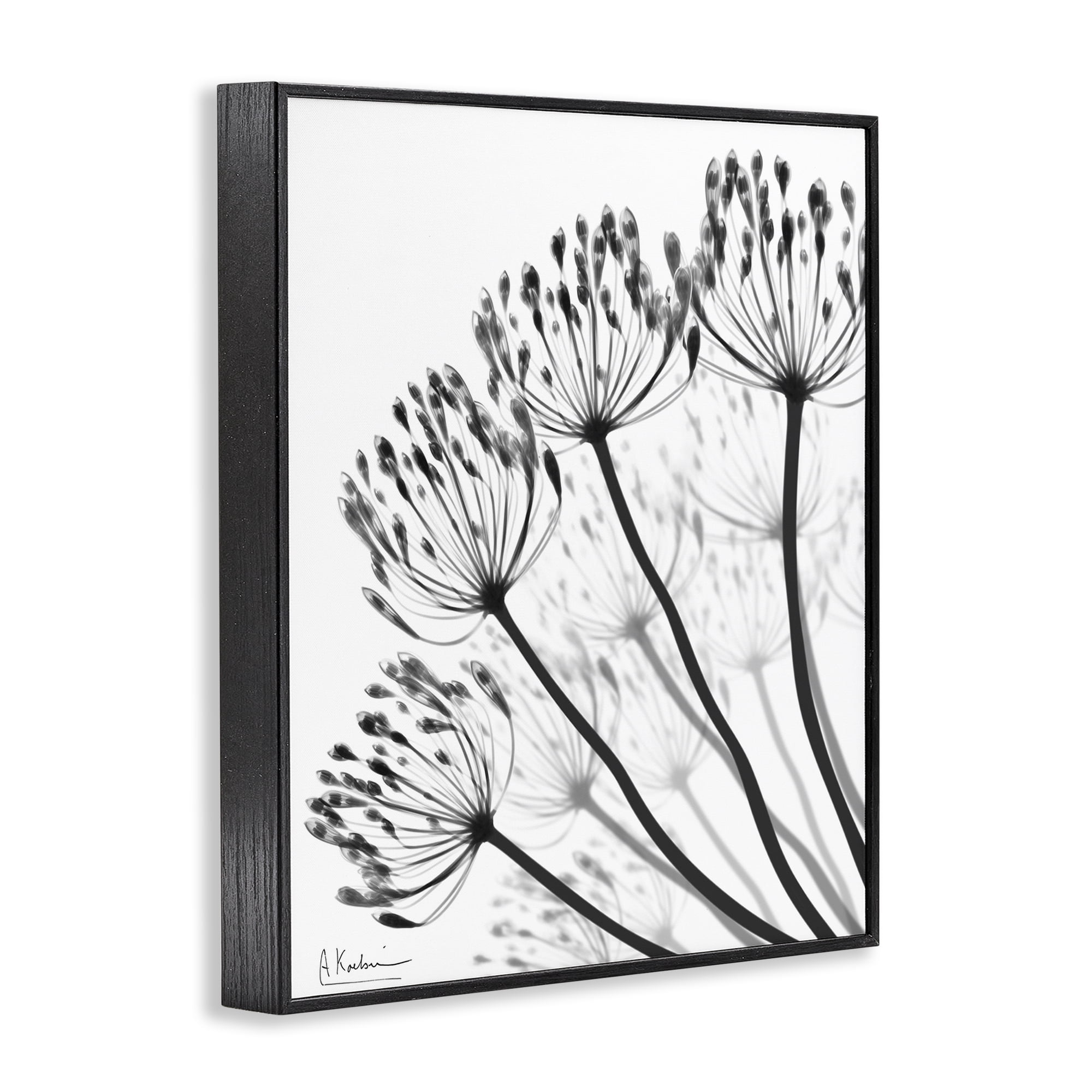 Stupell Industries Floral Fan Dandelions Black Framed Giclee Art, design by Albert Koetsier