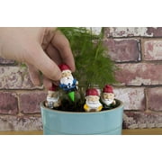 Mini Garden Gnomes for Plant Pots, Multi-color Gift Republic 19674