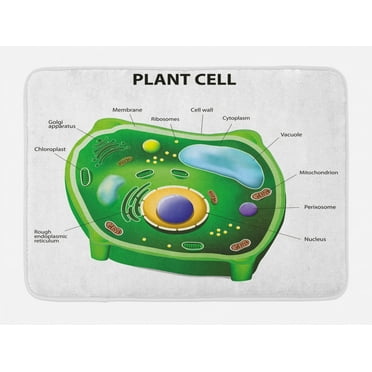 Educational Bath Mat, Plant Cell Biology Research Botany Anatomy Structure Organic Life Nature, Non-Slip Plush Mat Bathroom Kitchen Laundry Room Decor, 29.5 X 17.5 Inches, Green Pale Blue, Ambesonne