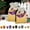 B, variant on AZ 36 Rolls Clear Carton Sealing Tape Packing Package Box 2"x110 Yards 330 ft