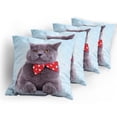 thumbnail image 5 of Ambesonne Cat Throw Pillow Cover 4 Pack, Grey Scottish Fold Theme, 18", Pale Blue Purpleblue, 5 of 7