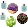 thumbnail image 2 of Binca Vidou Reed Diffuser Set Lavender Vanilla Rose Reed Oil Diffusers for Bedroom Living Room Office 50ml * 3, 2 of 7