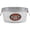 Multicolor, variant on Behrens (#0-OV) Hot Dipped Galvanized Steel Oval Planter/Tub, 5.5 gal. - Silver