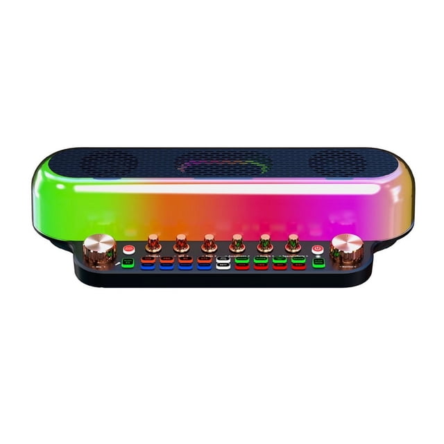Portable Loud Karaoke Speaker with Two Mic Wireless Bluetooth Sound Card Speaker All-In-1 Sound Card for FamilyKTV Black