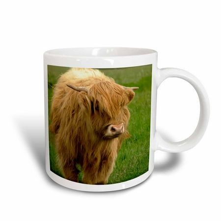 Scottish Farm - 3dRose Scotland, Highland cow, farm animal - EU36 CMI0128 - Cindy Miller Hopkins, Ceramic Mug, 15-ounce