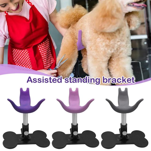 CUITING Étagère de Toilettage pour Chien Réglable Support de Montage pour Sèche-Cheveux de Beauté pour Animaux de Compagnie - Z8X0