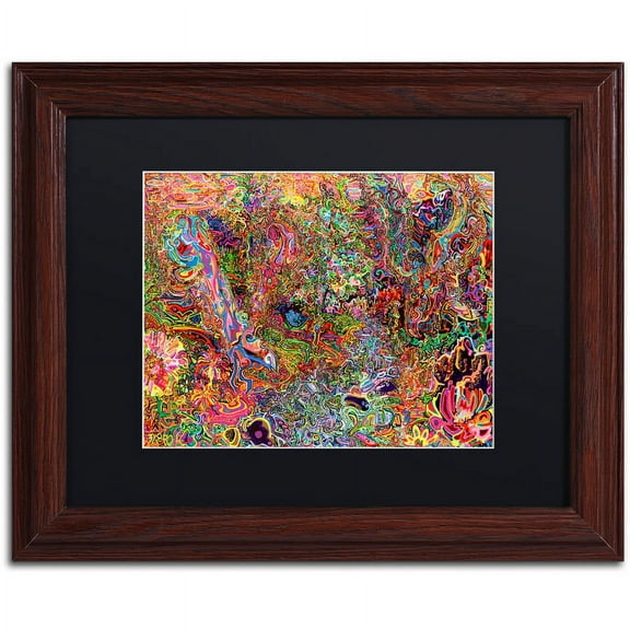 Trademark Fine Art "The Dove And The Crow" Canvas Art by Josh Byer, Black Matte, Wood Frame