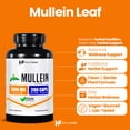 thumbnail image 2 of HealthFare Mullein Leaf Extract 3000mg | 200 Vegan Capsules | Extra Strength Herbal Supplement | Supports Wellness & Balance | Non-GMO, Gluten-Free | Made in USA, 2 of 7