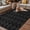 Black, variant on Black Golden Floral Outdoor Rug for Patio/Deck/Porch, Non-Slip Large Area Rug 3 x 5 Ft, Modern Abstract Art Spring Flowers Indoor Outdoor Rugs Washable Area Rugs, Reversible Camping Rug Carpet Runner