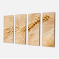 thumbnail image 2 of Cereal Plants Barley - Floral Canvas Art Print, 2 of 3