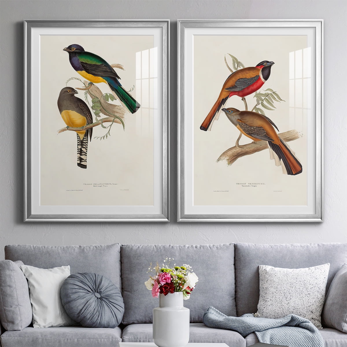 Wexford Home Elegant Trogons III Premium Framed Print, 18.5" x 24.5" - Ready to Hang, Silver (Set of 2)