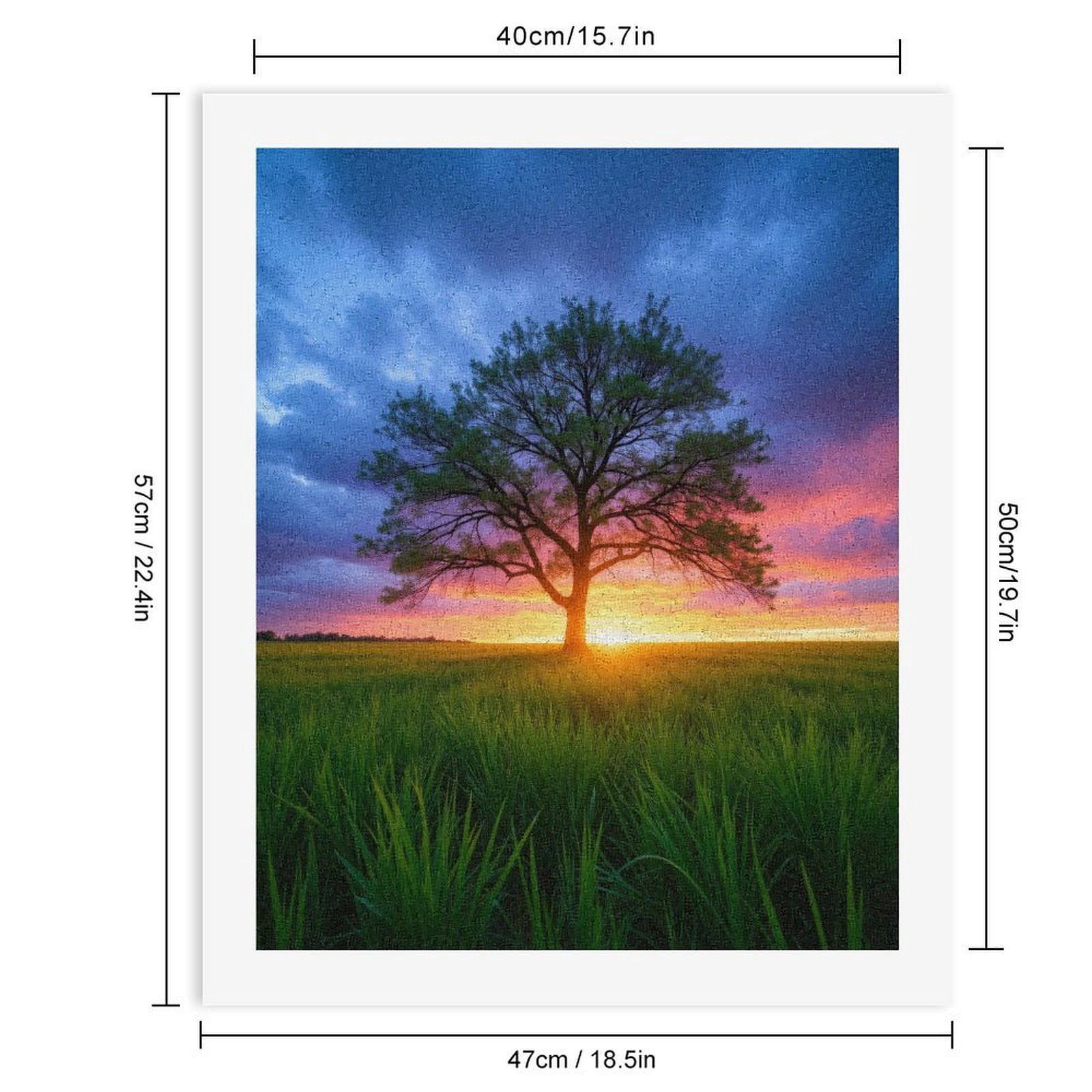 Paint by Numbers Kit for Adults, Sunset Tree Serenity Field Sky Paint by Numbers, Easy Paint by Numbers Kit for Adults Beginner, DIY Adult Paint by Number Kits on Canvas, 12x16in Home Decor