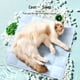 thumbnail image 4 of Campana Para Cocina Soft Ice Mat For Human And Pet, Cool Cushions, Pet Cushions , Office Cushion. Contains No Less Than Of Liquid（100ML）, 4 of 8