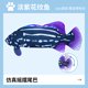 thumbnail image 1 of 厂家直销亚马逊电动鱼会跳动的仿真鱼发光充电摇摆鱼逗猫宠物玩具as the picture Deng Xun unisex, 1 of 2