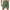 Army Green, variant on Diufon Mens Cargo Shorts Elastic Waist Drawstring Shorts Solid Color Plus Size Shorts with Pockets