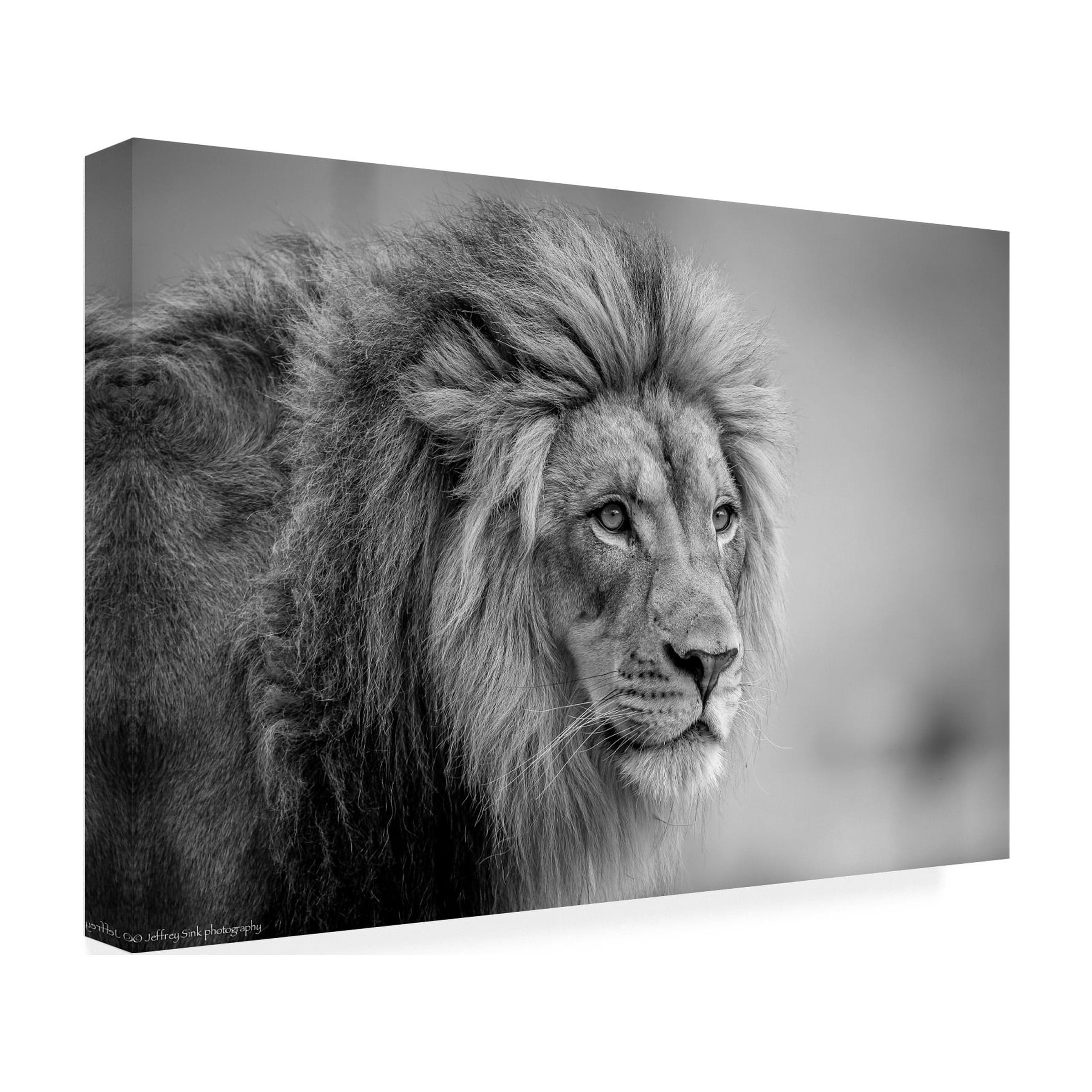 Jeffrey C Sink 'His Majesty' Canvas Art