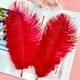 thumbnail image 4 of Piokio 20 plumas de avestruz rojas de 10 a 12 pulgadas (25 a 30 cm) a granel para decoraciones navideñas de bricolaje, centros de mesa de bodas, decoraciones Gatsby, 4 of 4