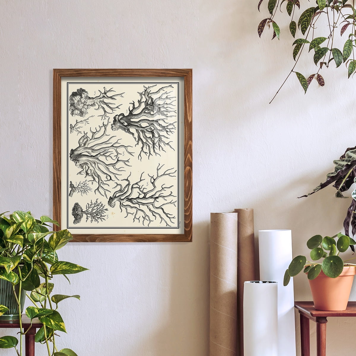 Aegean Collection III -Framed Print w/glass-Walnut