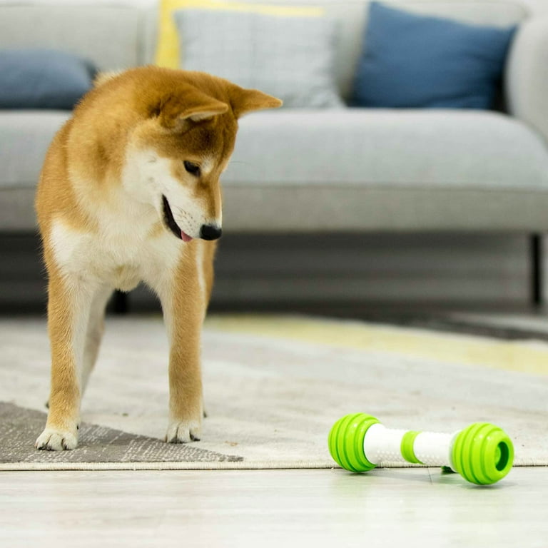 PETGEEK Automatic Interactive Dog Toys, Dog Interactive Toys for Boredom