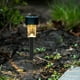 thumbnail image 3 of CHICHUMID 8Ud Ground Stakes Negros Para Luces Solares De Jardín Duraderos Y Sin Óxido, 3 of 4