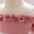 thumbnail image 6 of NAISIBABY Little Girls Floral Dress, Tutu Mesh Lace Short Sleeve Back Bowknot Birthday Wedding Party Pageant Princess Dress Pink 18Months, 6 of 9