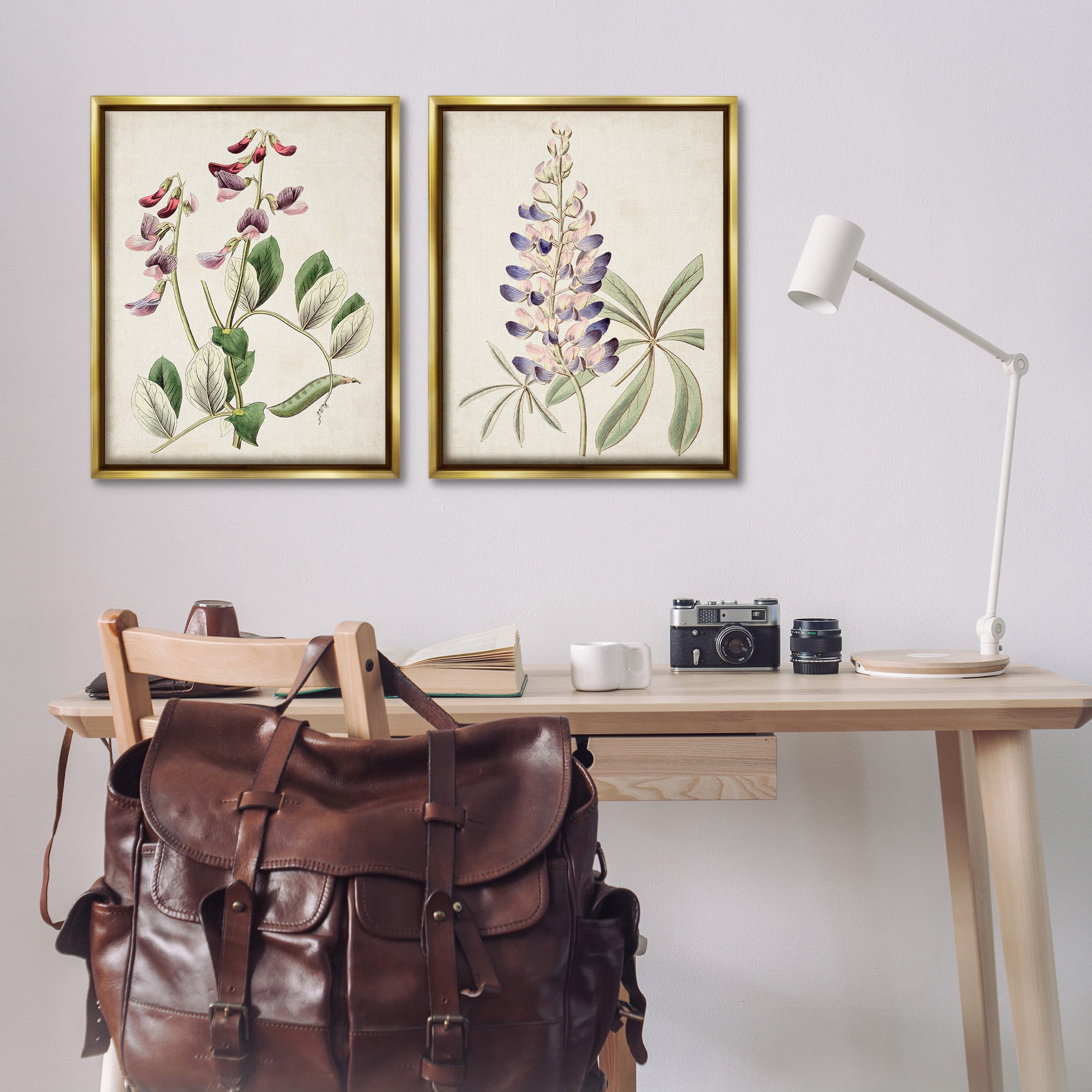 Stupell Industries Foxglove Latin Studies Botanical & Floral Painting Gold Floater Framed Canvas Art Print Wall Art, 25 x 31, Set of 2