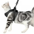 thumbnail image 1 of Cat Harness and Leash for Walking  Escape Proof Soft Adjustable Vest Harnesses for Cats  Easy Control Breathable Reflective Strips Jacket, 1 of 7
