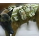 thumbnail image 2 of Chaleco para perro con bolsa de accesorios, arnés de entrenamiento con correa ajustable, talla L L, 2 of 9