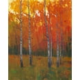 thumbnail image 2 of OToole, Tim 26x32 Gold Ornate Wood Framed with Double Matting Museum Art Print Titled - Changing Colors I, 2 of 4