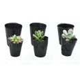 thumbnail image 2 of 500Pcs Nursery pot plastic Plant Propagation Container Grow Bag Garden Supplies 8cmX8cm, 2 of 5