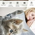 thumbnail image 3 of Patifu Little Cat Plush Blanket Lovely Pet Cats Sherpa Blanket Cat Lover's Animal Themed Design Fleece Throw Blanket for Sofa Couch Bed Room Decor Cute Kitten Print Fuzzy Blanket 40x50 Inch White, 3 of 6