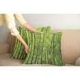 thumbnail image 3 of Ambesonne Green Throw Pillow Cover 2 Pack, Exotic Tropical Asian Leaf, 24", Green, 3 of 6