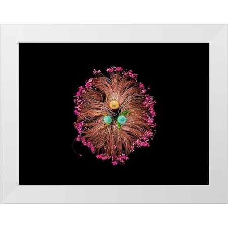 Adikary Sujon 14x12 White Modern Wood Framed Museum Art Print Titled - Colors of Life
