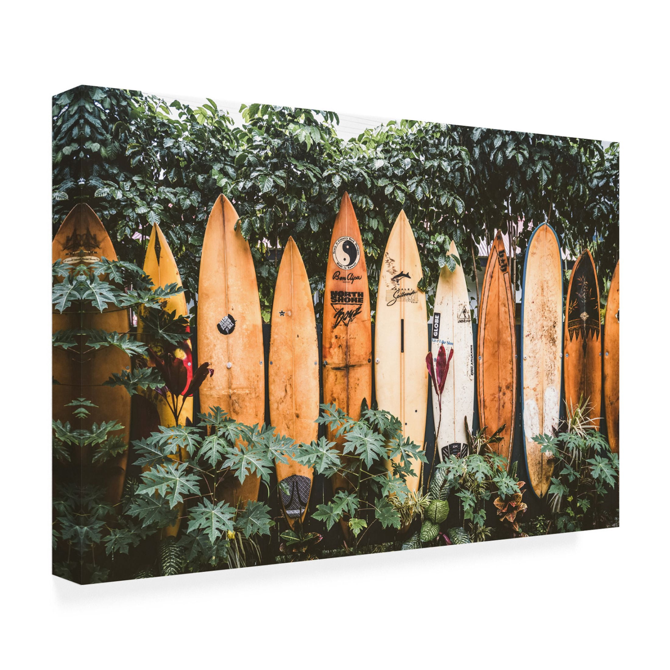 Canvas Wall Art - Krista Broadway 'Lawtey' Wall Art for Living Room, Bedroom, or Office Décor by Trademark Fine Art - 19 x 12 Inches
