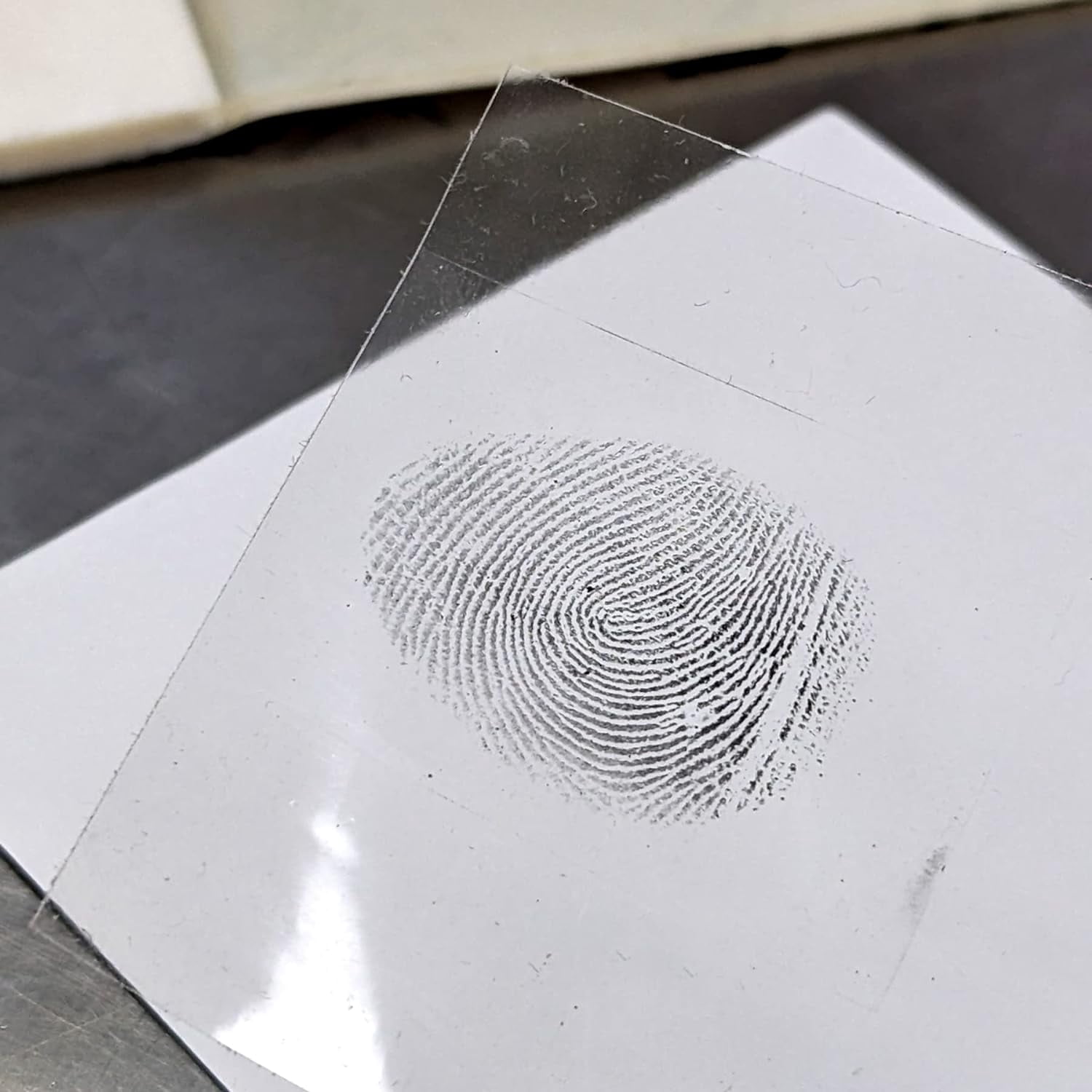 Fingerprint Lift Pads 2x6 2pk