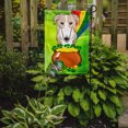 thumbnail image 2 of Carolines Treasures BB1972GF Borzoi St. Patricks Day Flag Garden, 2 of 3