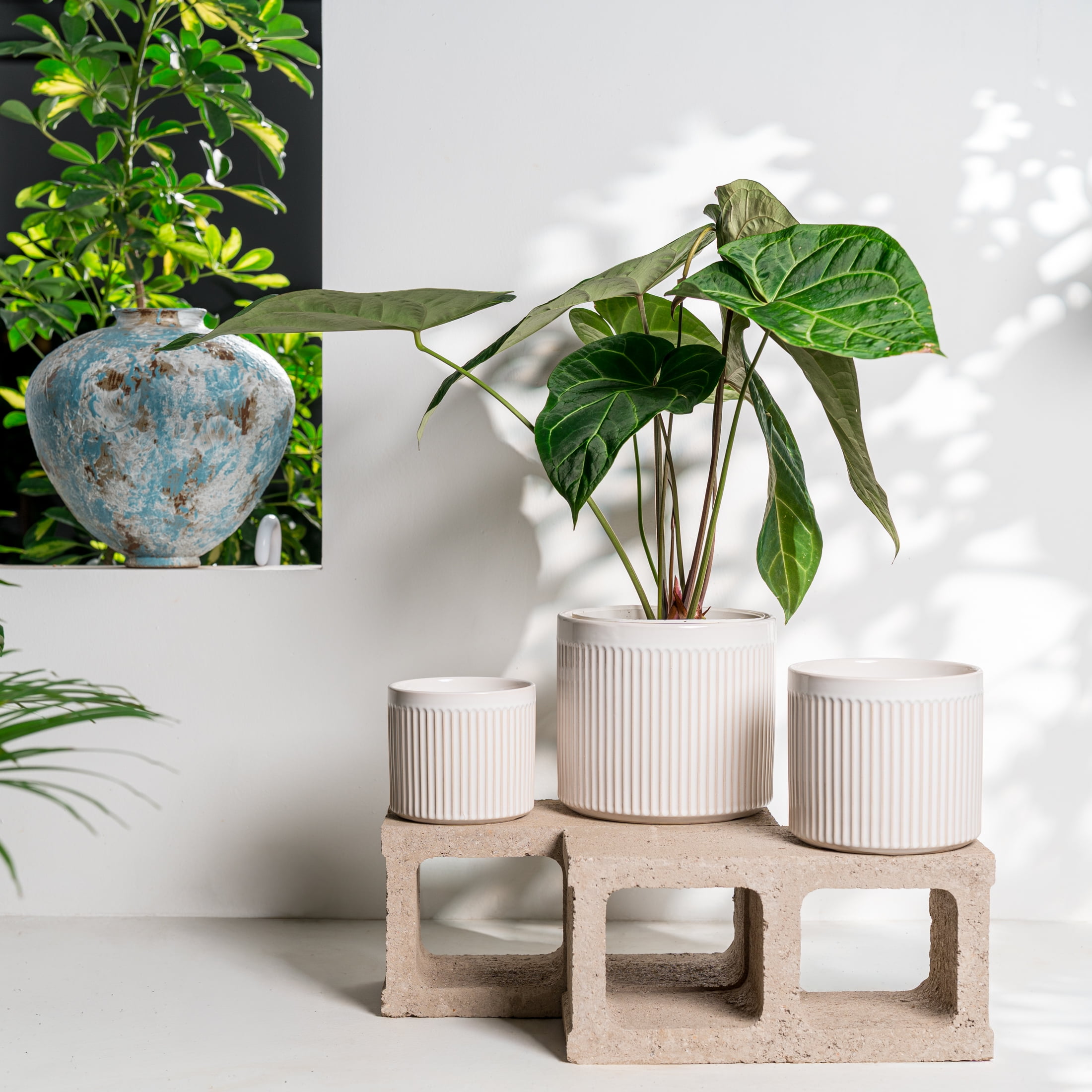 UMIAMOY Modern Cylinder Set of 3 Ceramic Flower Pots,5.7+7.0+8.6 inch Plant Pots with Drainage Holes and Saucer,Indoor Outdoor Planters for Home Patio Garden Decoration