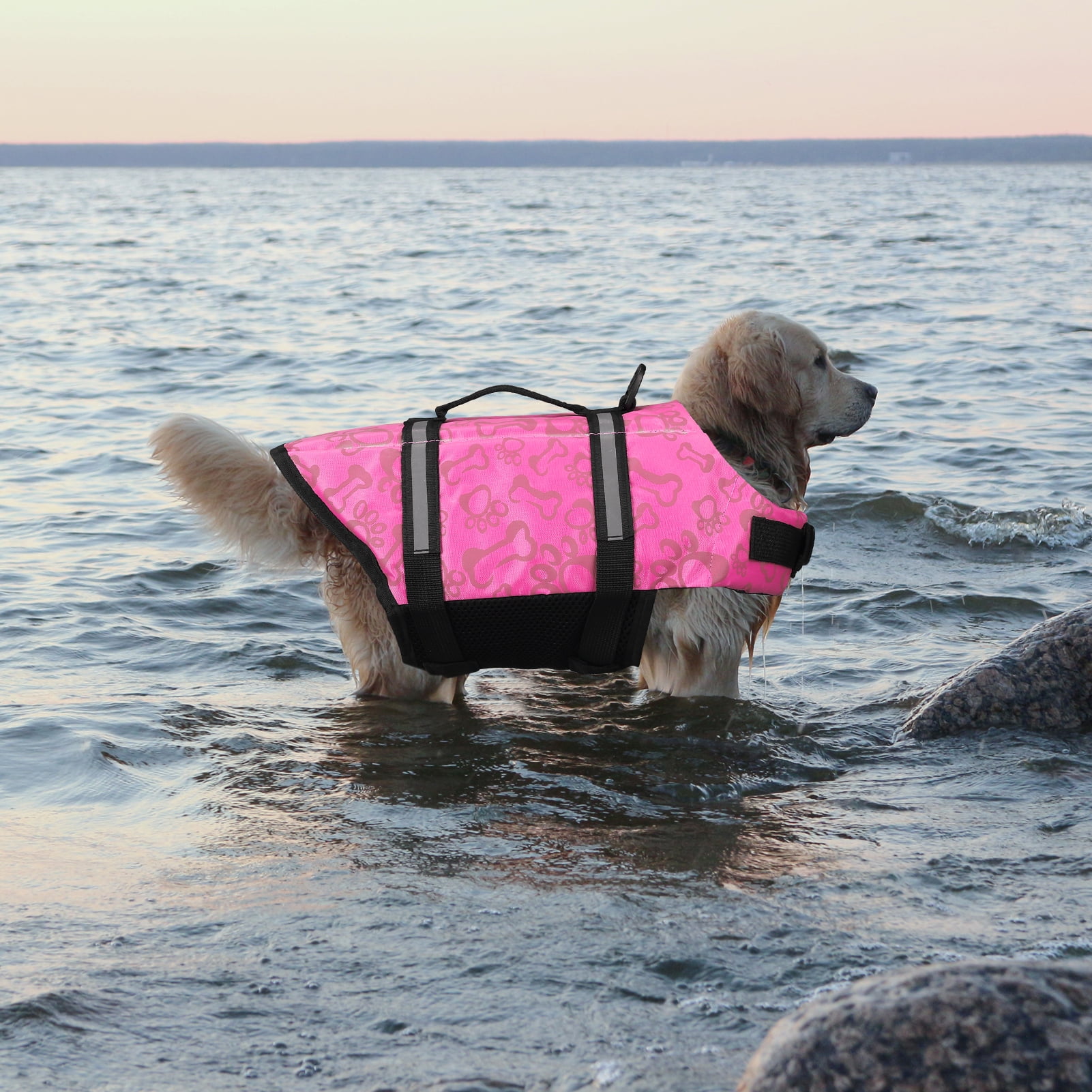 NEWEEN Dog Life Jackets Dog Life Vests for Swimming Beach Boating with High Buoyancy Dog Flotation Vest for Small/Medium/Large Dogs, Blue, M