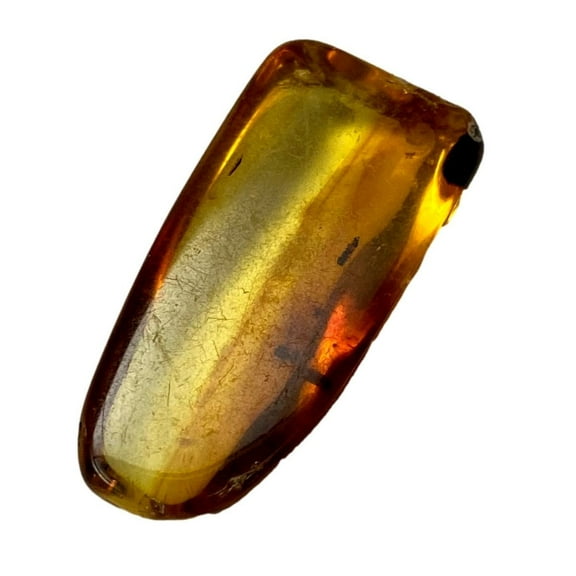 Genuine Amber Specimen with Insect Inclusions - 15/16" x 1/2"
