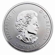 Canadian 1/2 oz Silver Polar Bear Coin BU Random Year