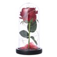 thumbnail image 1 of Glass Cover Wood Base Rose Flower String Light Romantic Night Light Home Decor Valentine's Day Gift, 1 of 7