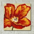 thumbnail image 5 of Epic Art 'Parrot Tulip I' by Tim O'Toole, Acrylic Glass Wall Art, 12"x12", 5 of 7